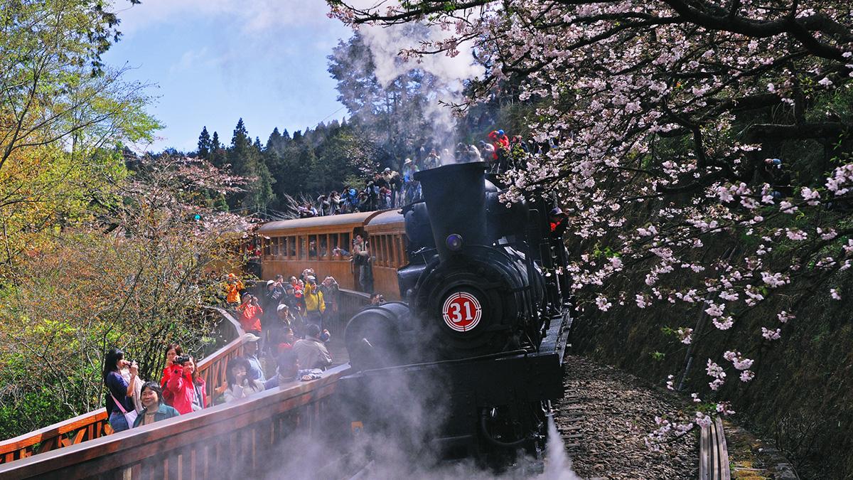 Alishan-National-Forest-Recreation-Area